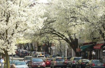 downtown-princeton2